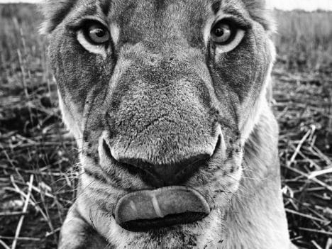 David_Yarrow_Lunch_Hilton_Asmus_Contemporary