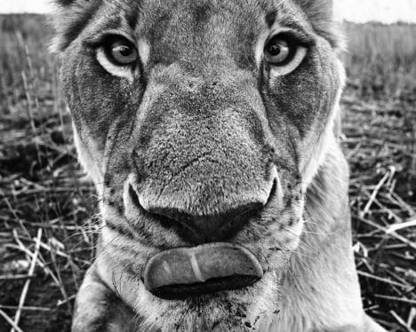 David_Yarrow_Lunch_Hilton_Asmus_Contemporary