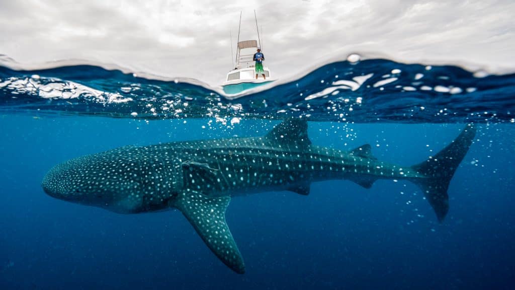 CCristinaMittermeier20180706-_CGM6308-1024x576