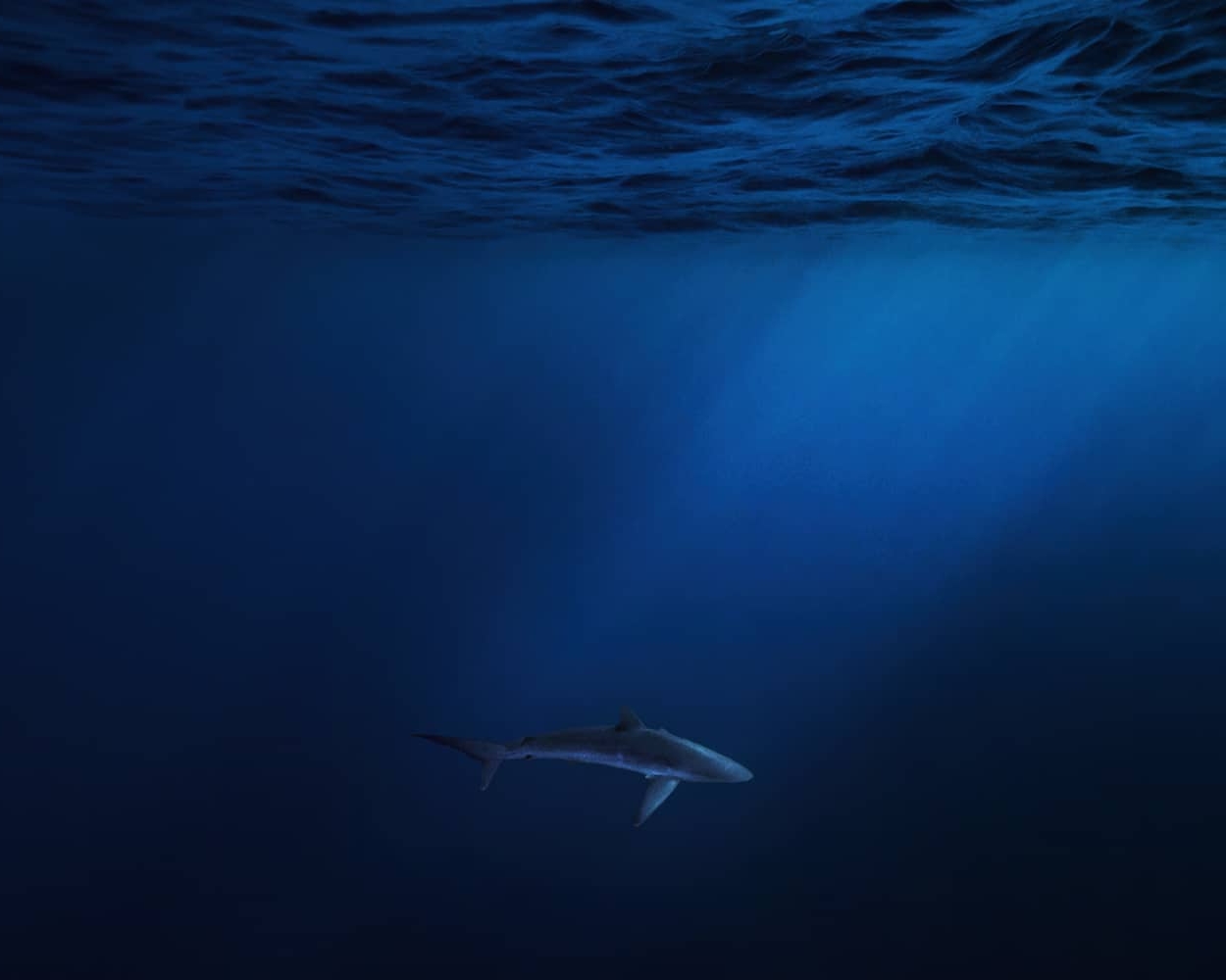 Reefs of Gardens of the Queen