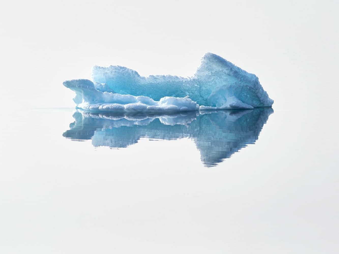 Polar bears, belugas. Northwest Passage 2017