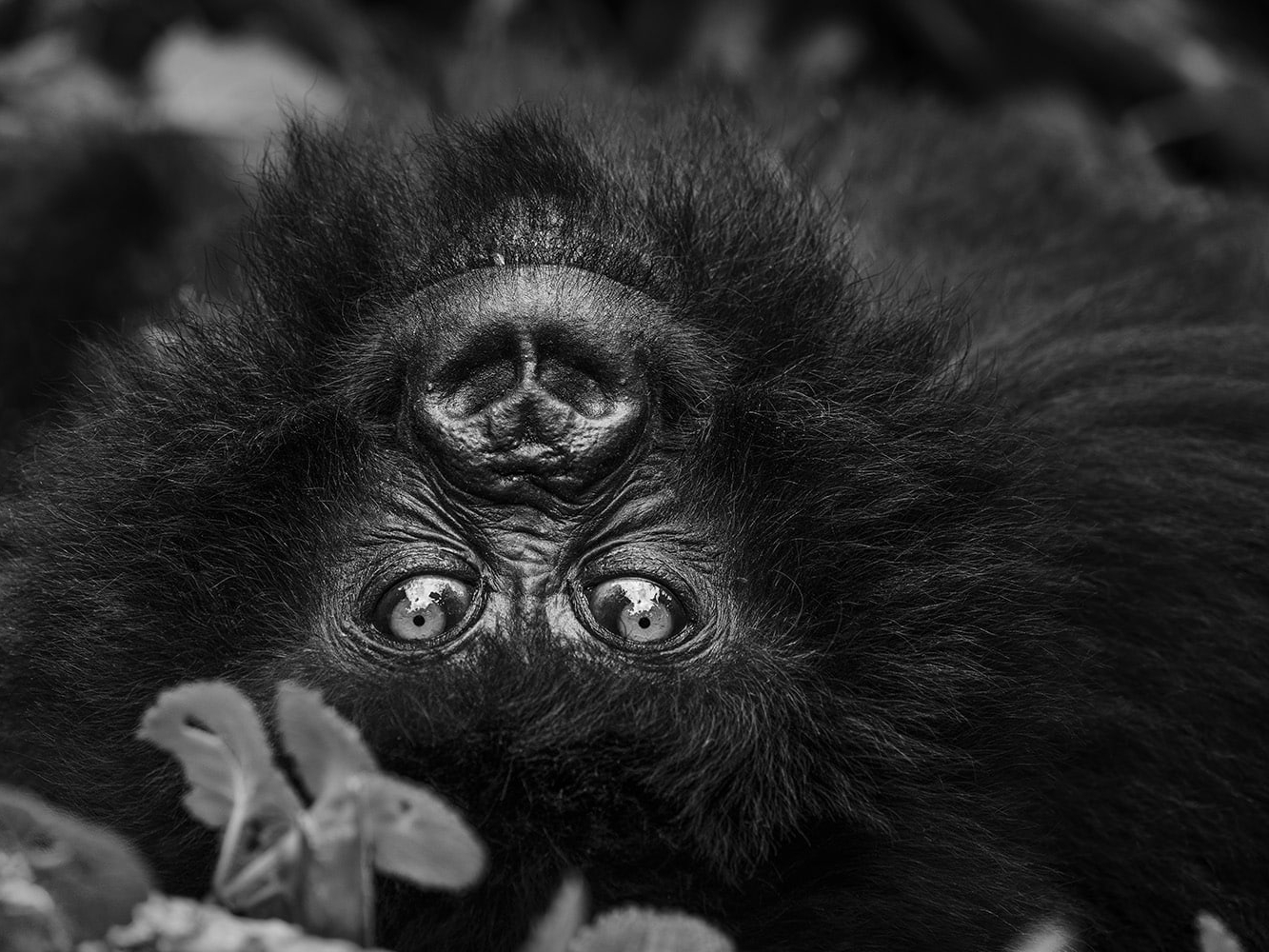 Cuba's Gardens of the Queen