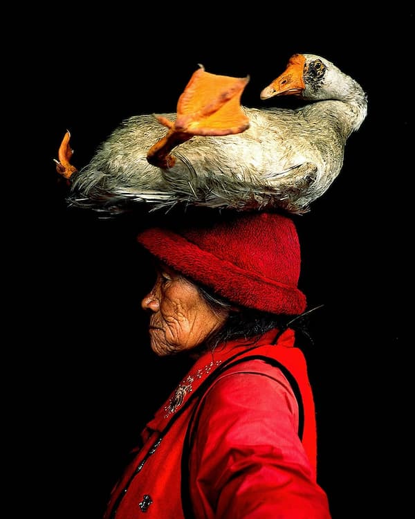 LADY WITH THE GOOSE II
