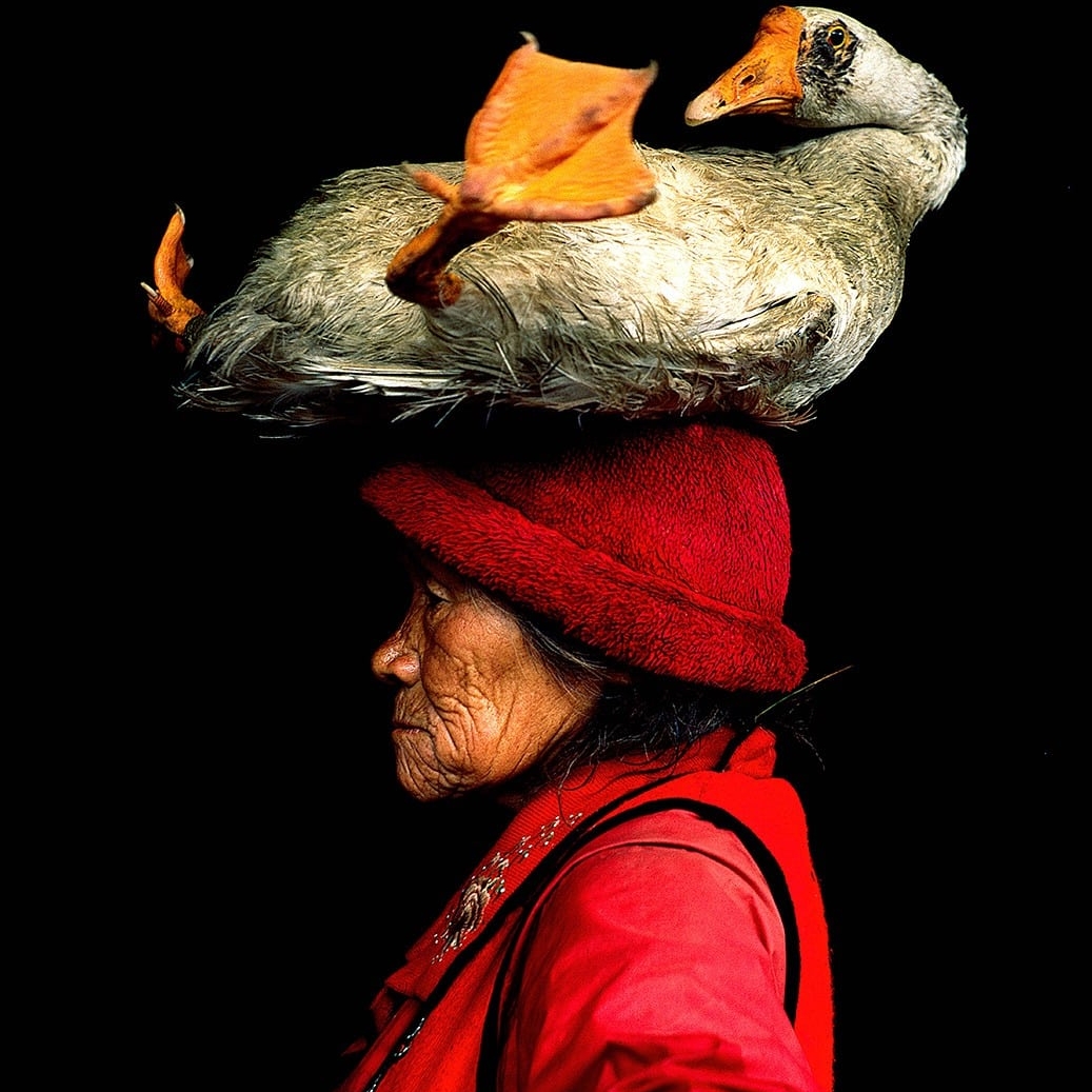 Lady with the Goose