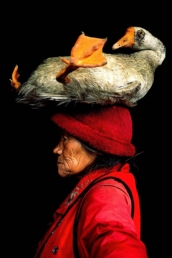 Lady with the Goose