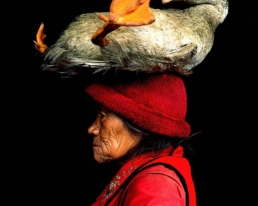 Lady with the Goose