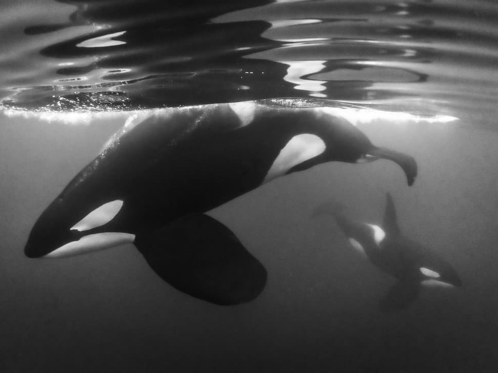 Cristina_Mittermeier_Approach_Hilton_Asmus_Contemporary