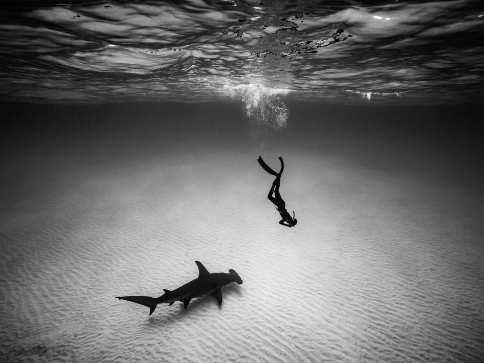 Cristina_Mittermeier_Encounter_Hilton_Asmus_Contemporary