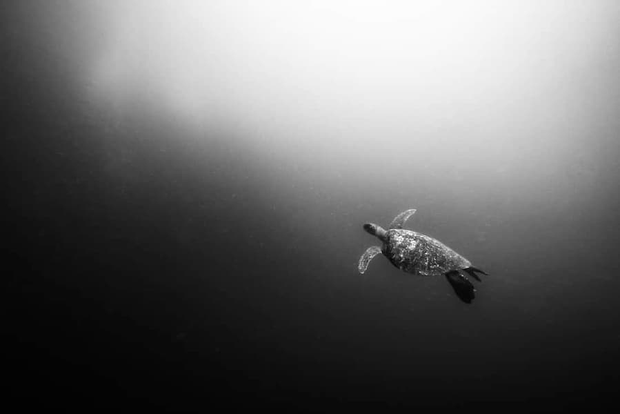 Floating in Light