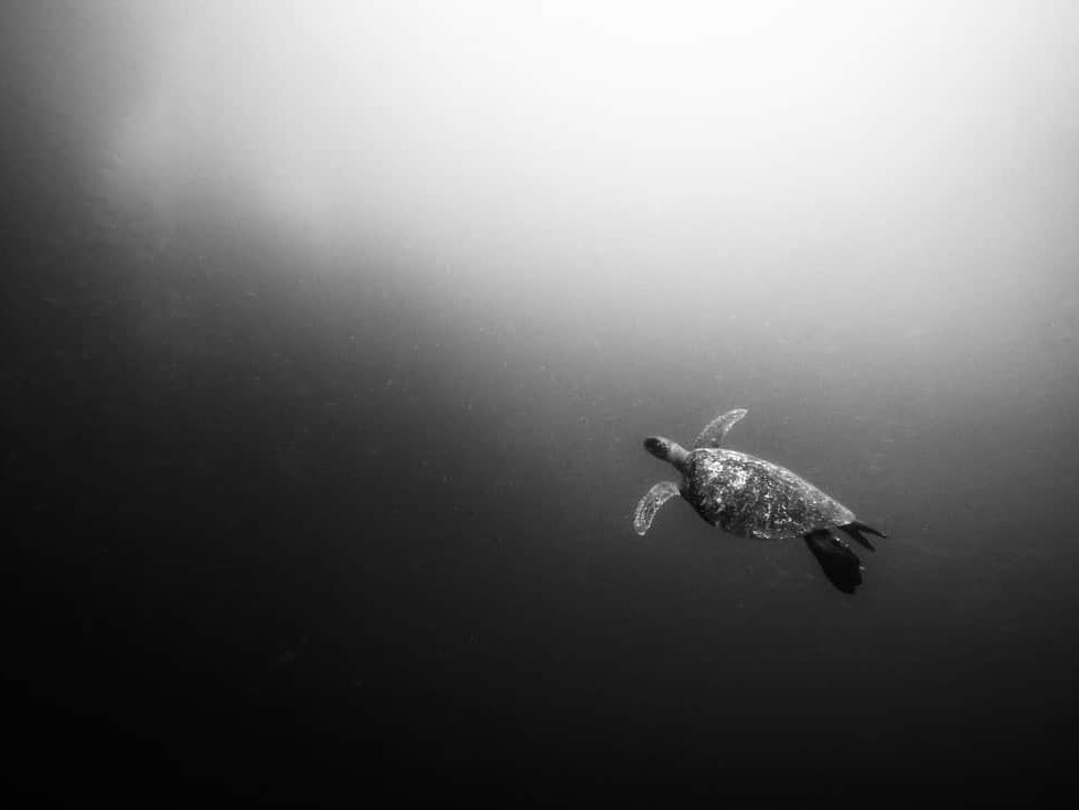 Cristina_Mittermeier_Floating_in_Light_Hilton_Asmus_Contemporary