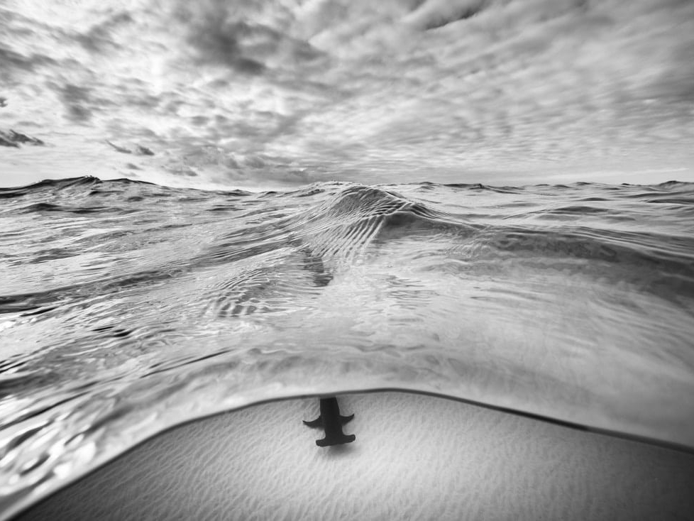 Cristina_Mittermeier_Peekaboo_Hilton_Asmus_Contemporary