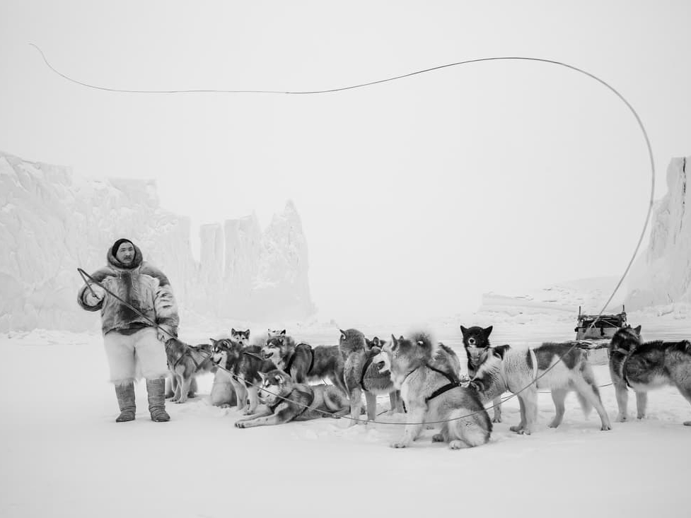 Cristina_Mittermeier_The_Musher_Hilton_Asmus_Contemporary