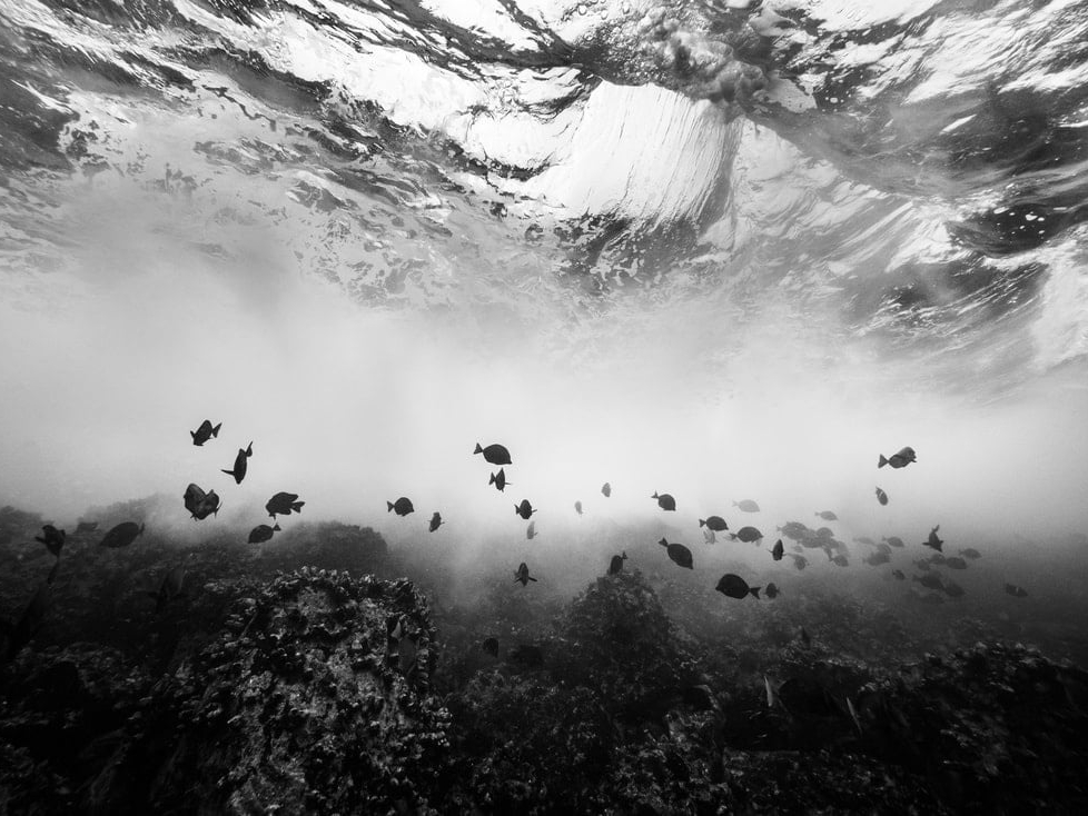 Cristina_Mittermeier_The_Space_Between_Hilton_Asmus_Contemporary