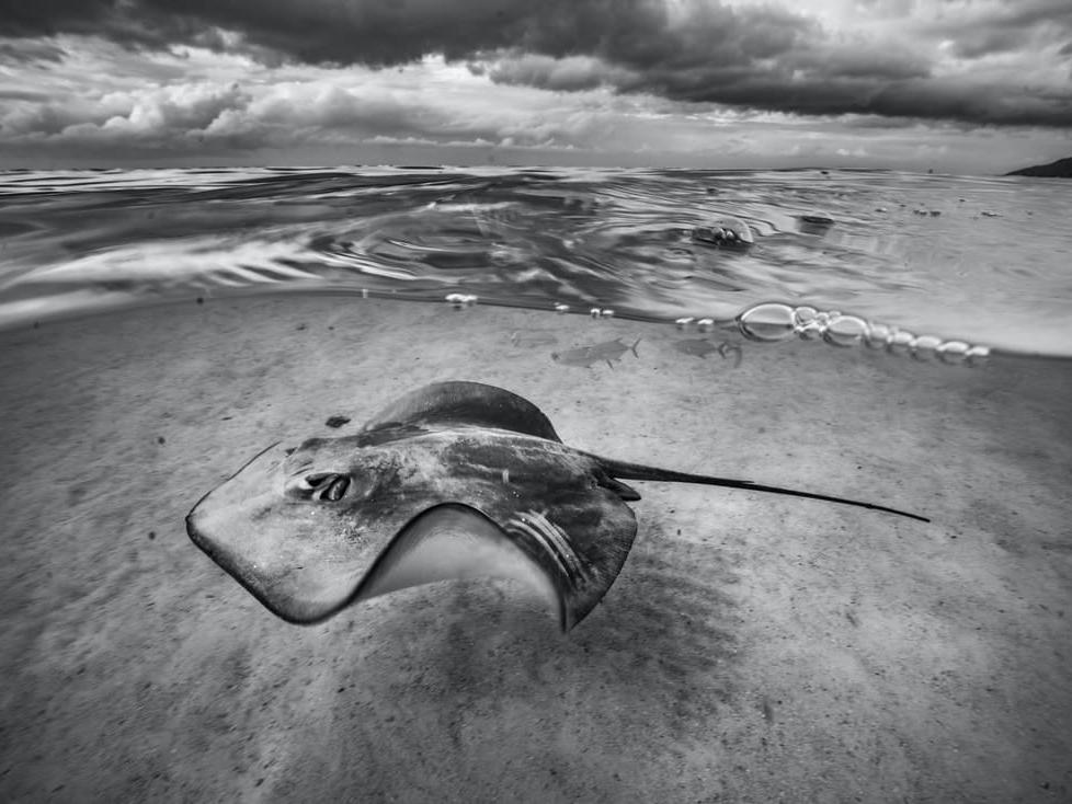 Cristina_Mittermeier_Under_Stormy_Skies_Hilton_Asmus_Contemporary