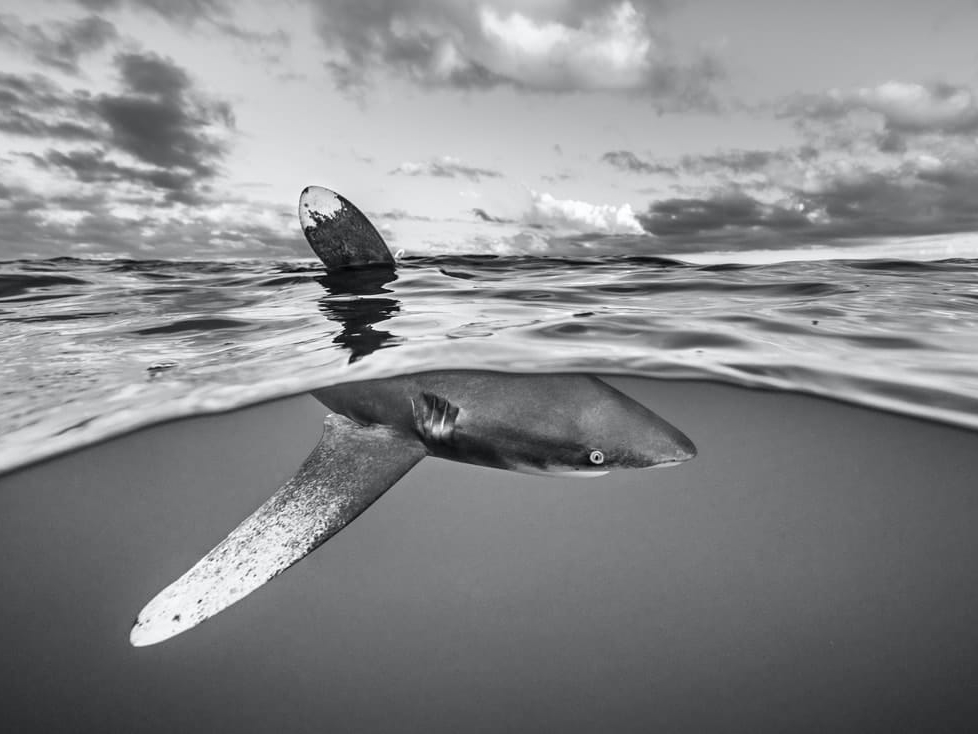 Cristina_Mittermeier_What_Lies_Beneath_Hilton_Asmus_Contemporary