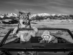 David_YArrow_Once_Upon_a_Time_in_the_West_Hilton_Asmus_Contemporary