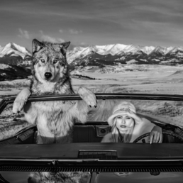 David_YArrow_Once_Upon_a_Time_in_the_West_Hilton_Asmus_Contemporary
