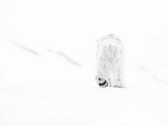 David_Yarrow_78_Degrees_North_II_Hilton_Asmus_Contemporary