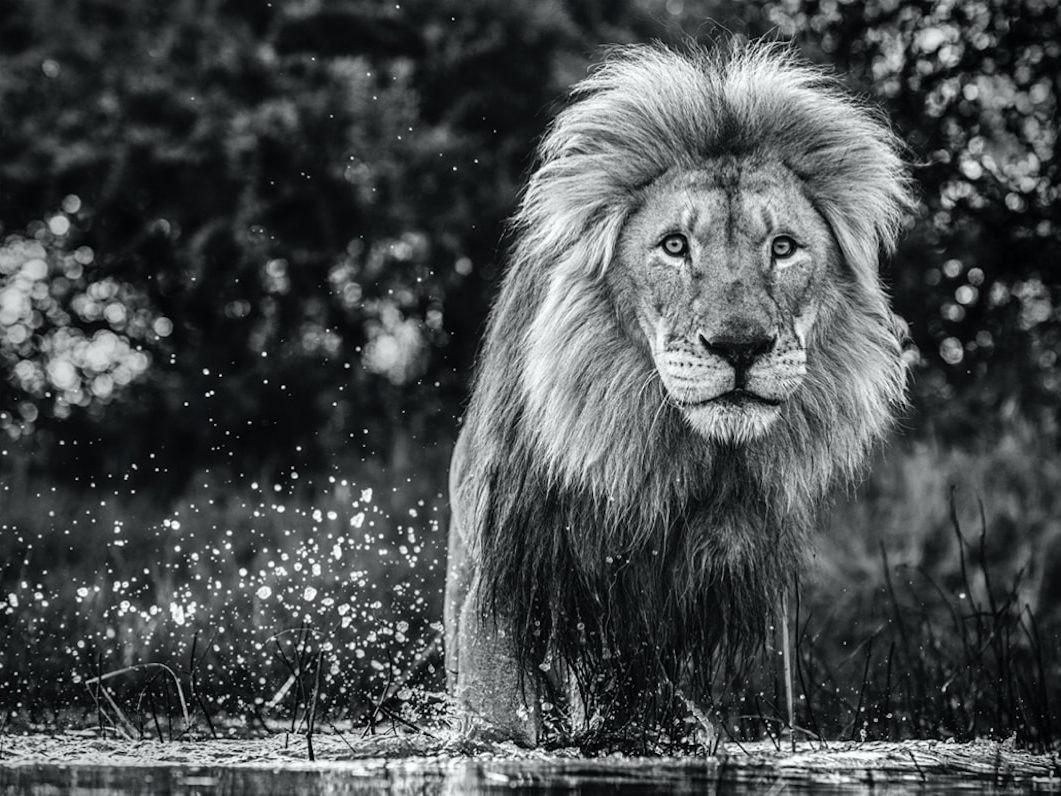 David_Yarrow_After_the_Flood_Hilton_Asmus_Contemporary