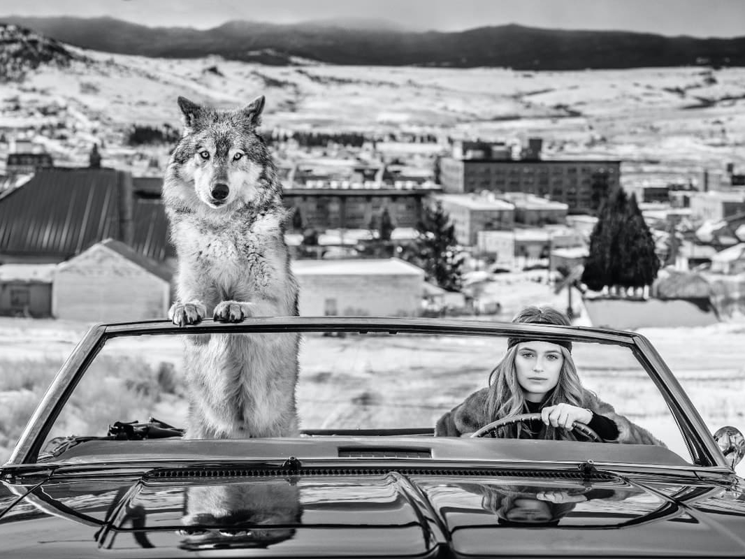 David_Yarrow_Bonnie_and_Clyde_Hilton_Asmus_Contemporary