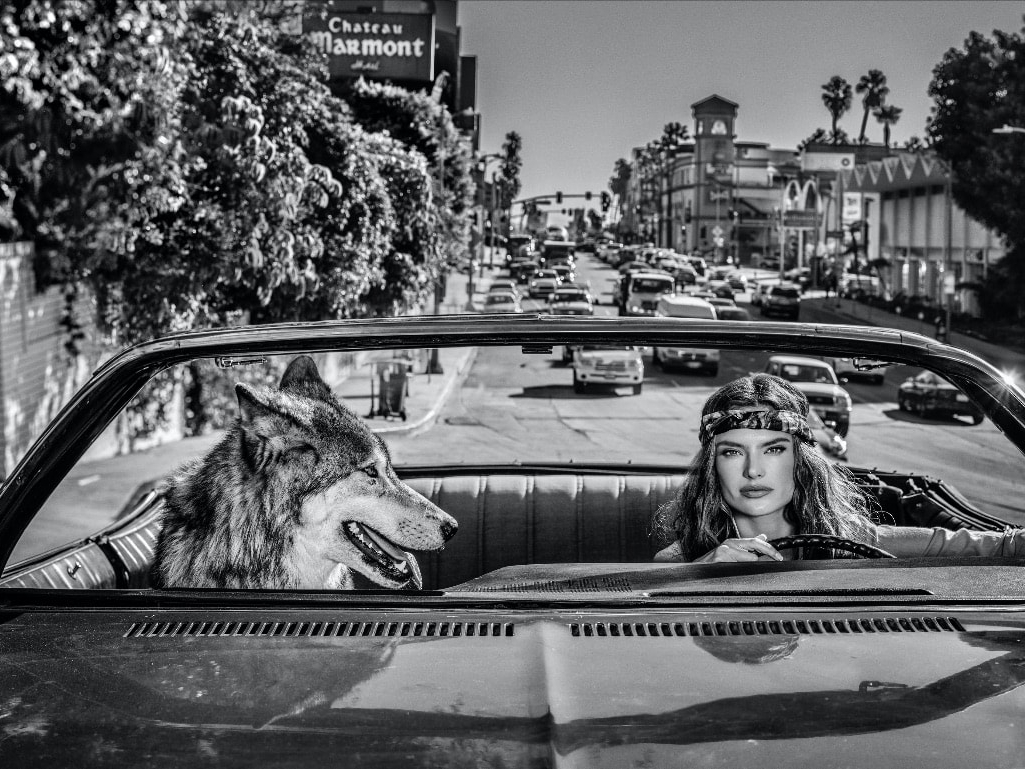 David_Yarrow_Chateau_Marmont_Hilton_Asmus_Contemporary