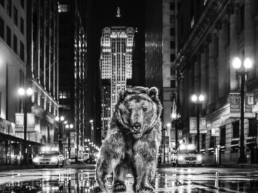 David_Yarrow_Chicago_Bear_Hilton_Asmus_Contemporary