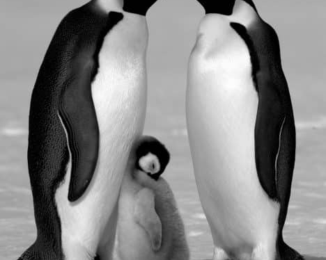 David_Yarrow_Contentment_1_Hilton_Asmus_Contemporary