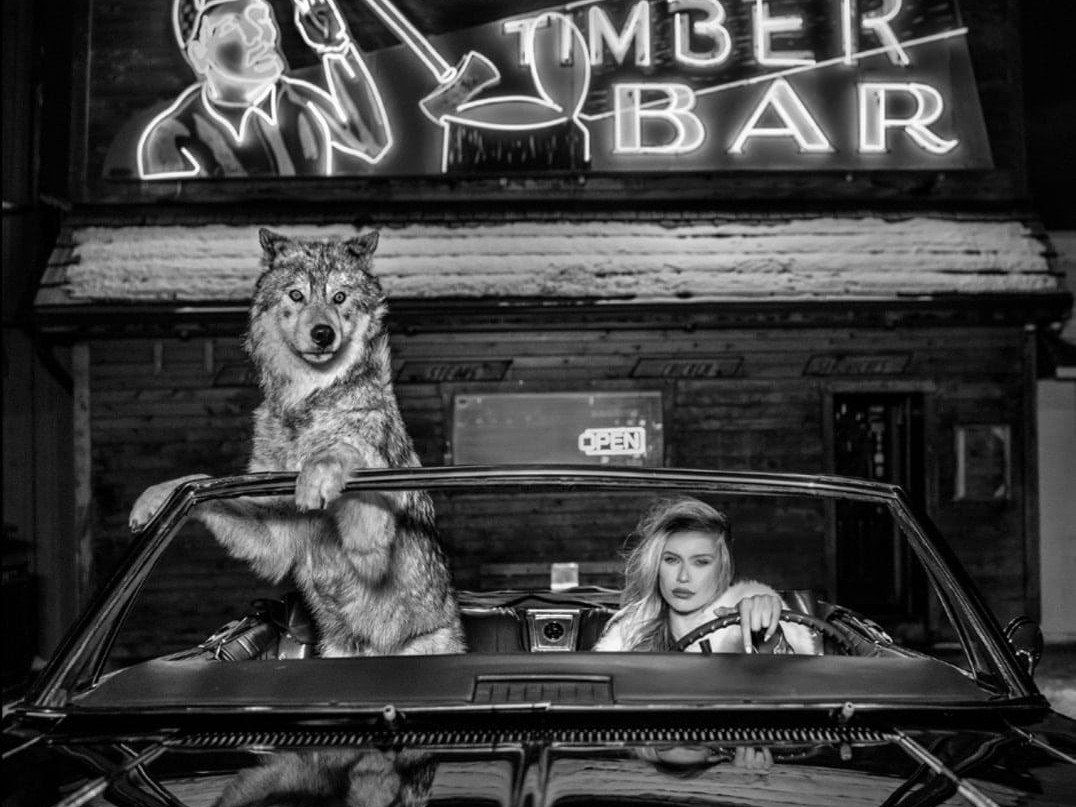 David_Yarrow_Coyote_Ugly_Hilton_Asmus_Contemporary