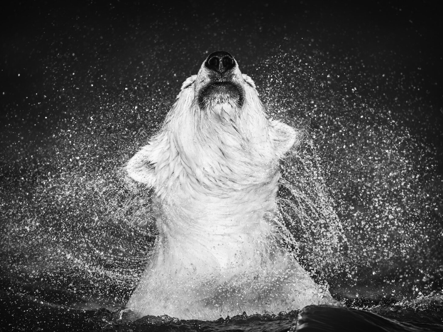 David_Yarrow_Diamonds_in_the_Sky_Hilton_Asmus_Contemporary