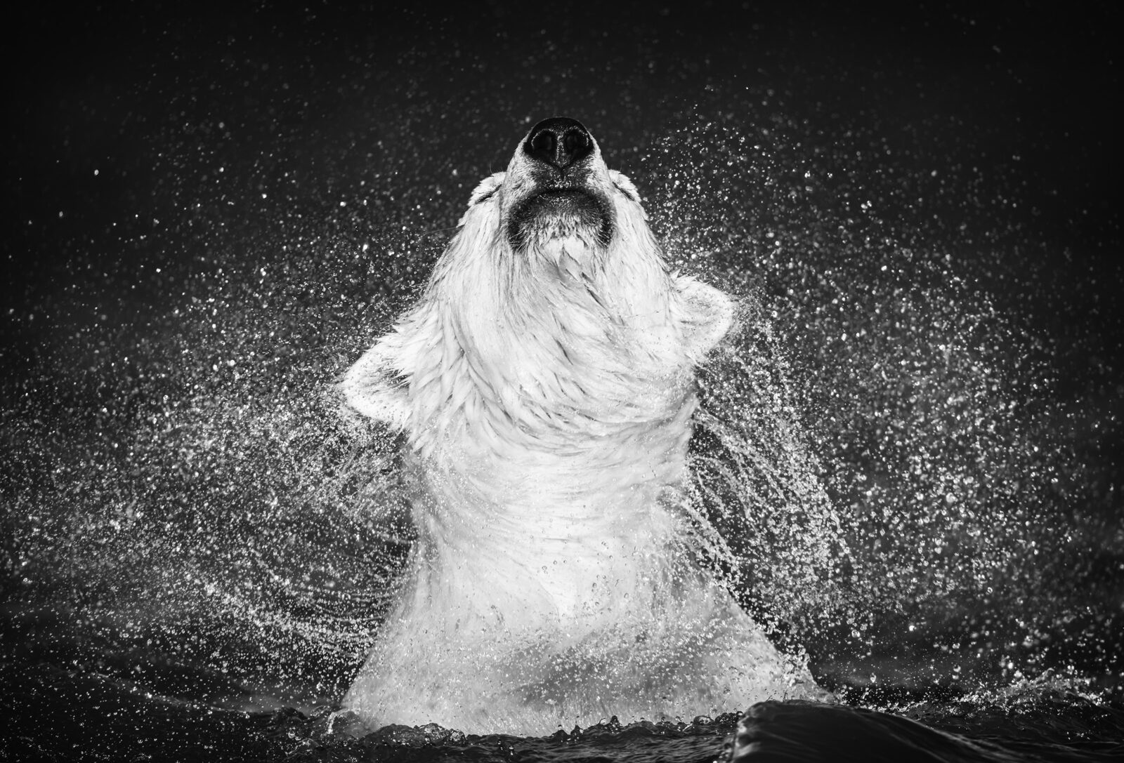 David_Yarrow_Diamonds_in_the_Sky_Hilton_Asmus_Contemporary