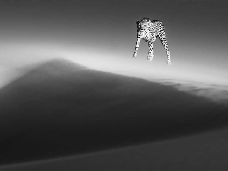 David_Yarrow_Ethereal_Dune_Hilton_Asmus_Contemporary