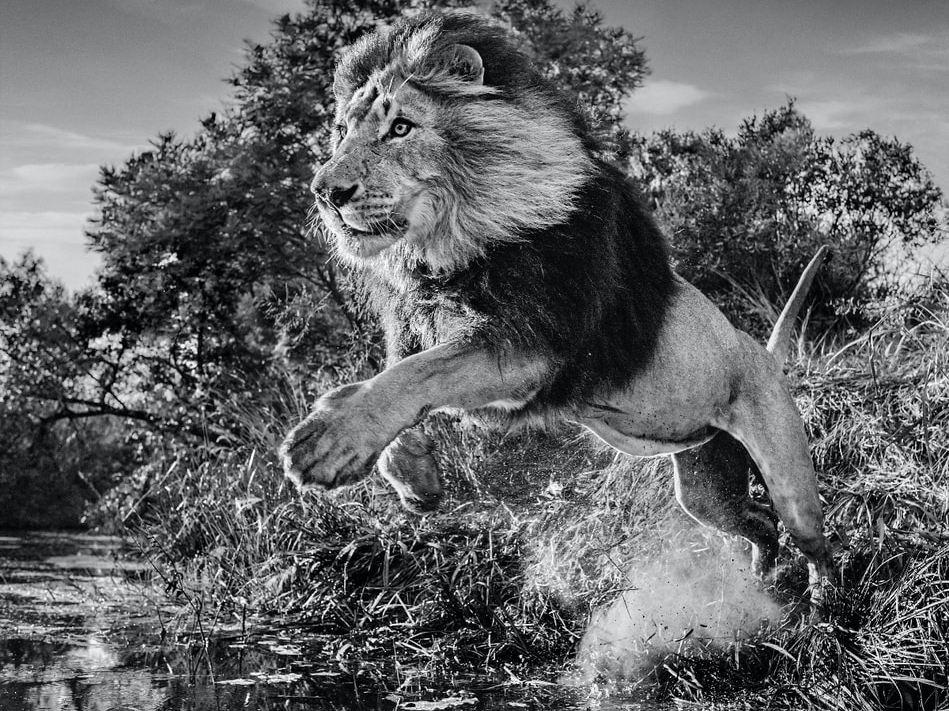 David_Yarrow_First_Down_Hilton_Asmus_Contemporary