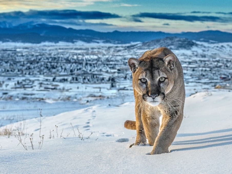 David_Yarrow_Frontier_Town_Color_Colour_Hilton_Asmus_Contemporary