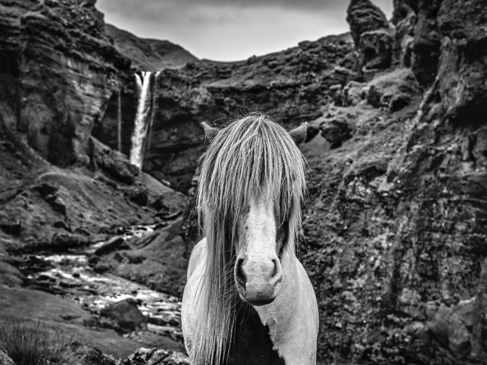 David_Yarrow_Game_of_Thrones_Hilton_Asmus_Contemporary