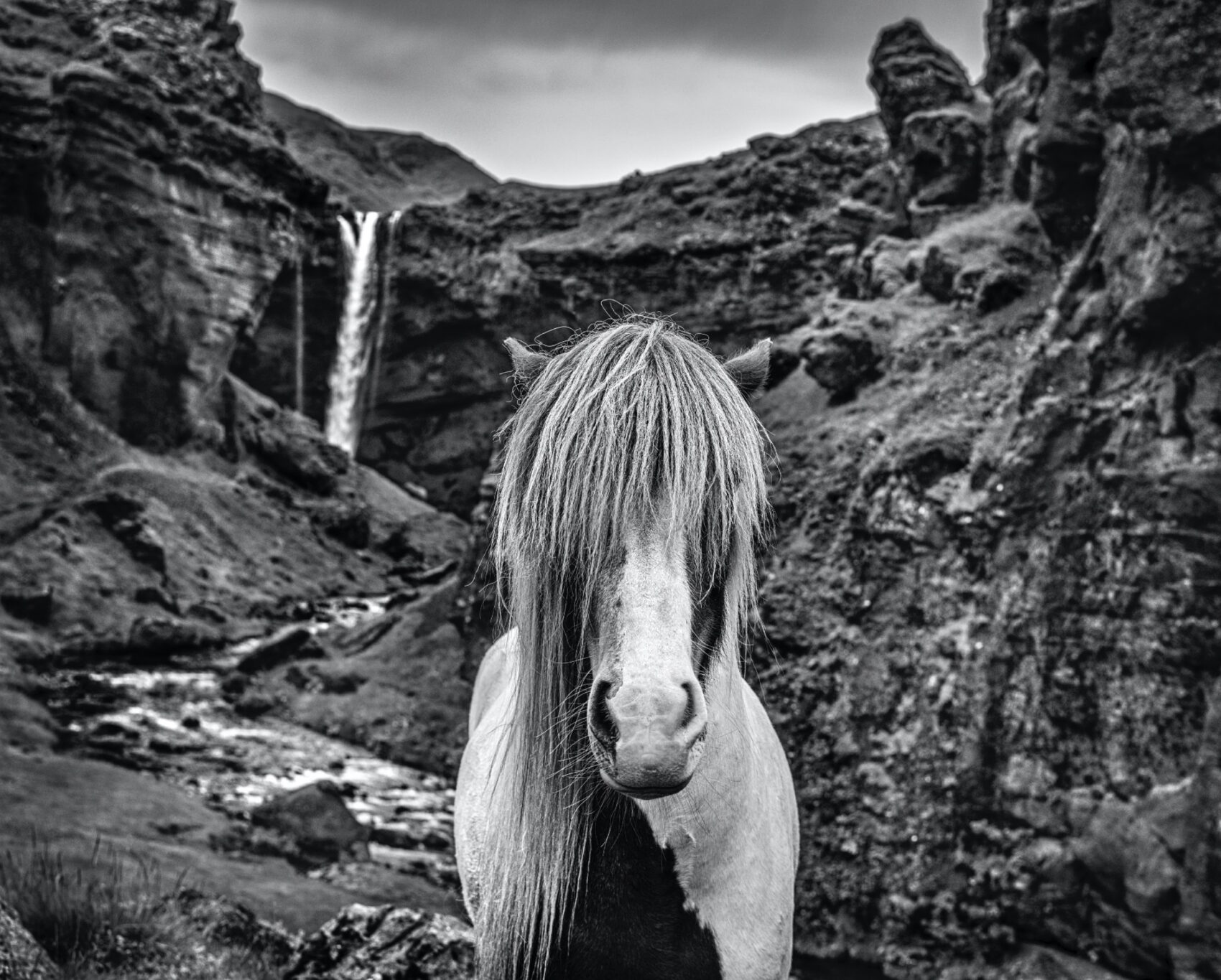 David_Yarrow_Game_of_Thrones_Hilton_Asmus_Contemporary