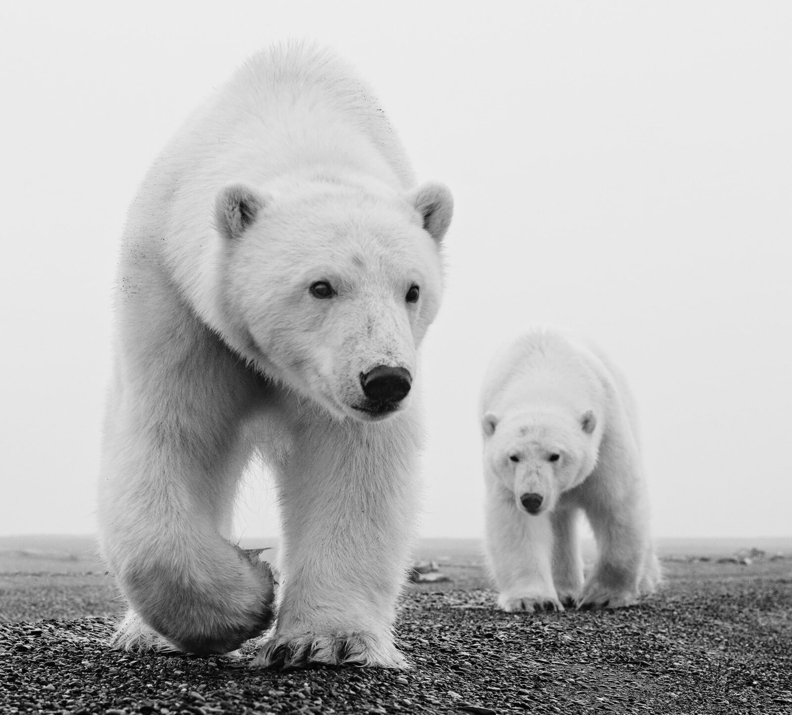 David_Yarrow_Kaktovik_Hilton_Asmus_Contemporary