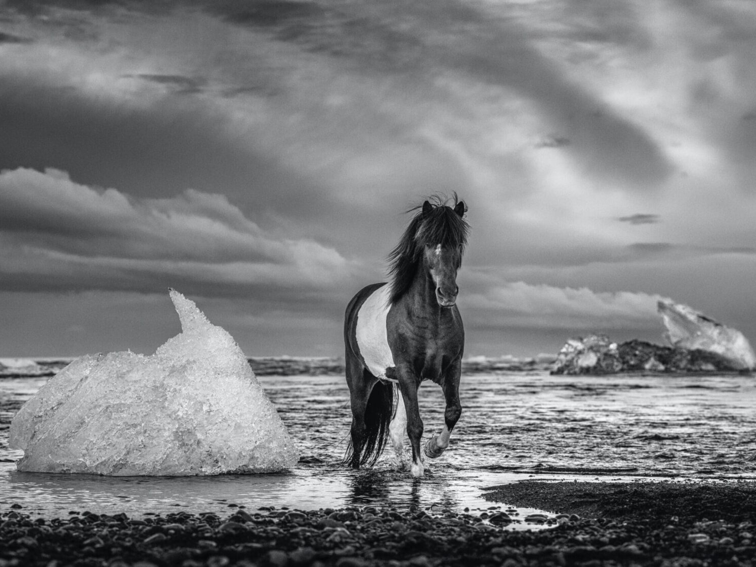 David_Yarrow_On_the_Rocks_Hilton_Asmus_Contemporary
