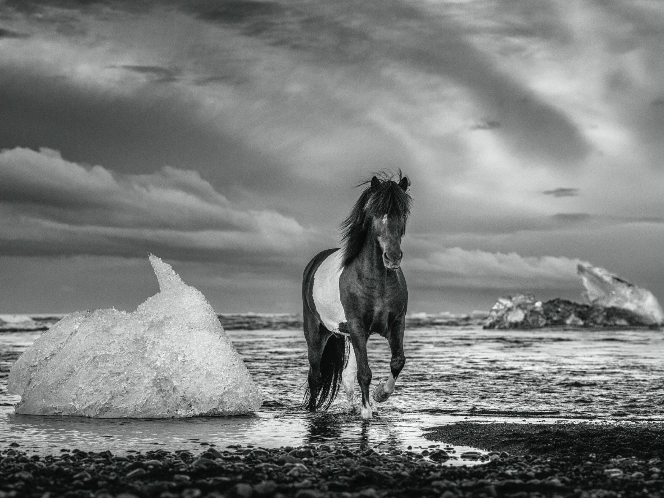 David_Yarrow_On_the_Rocks_Hilton_Asmus_Contemporary