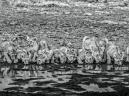 David_Yarrow_One_for_the_Road_Hilton_Asmus_Contemporary