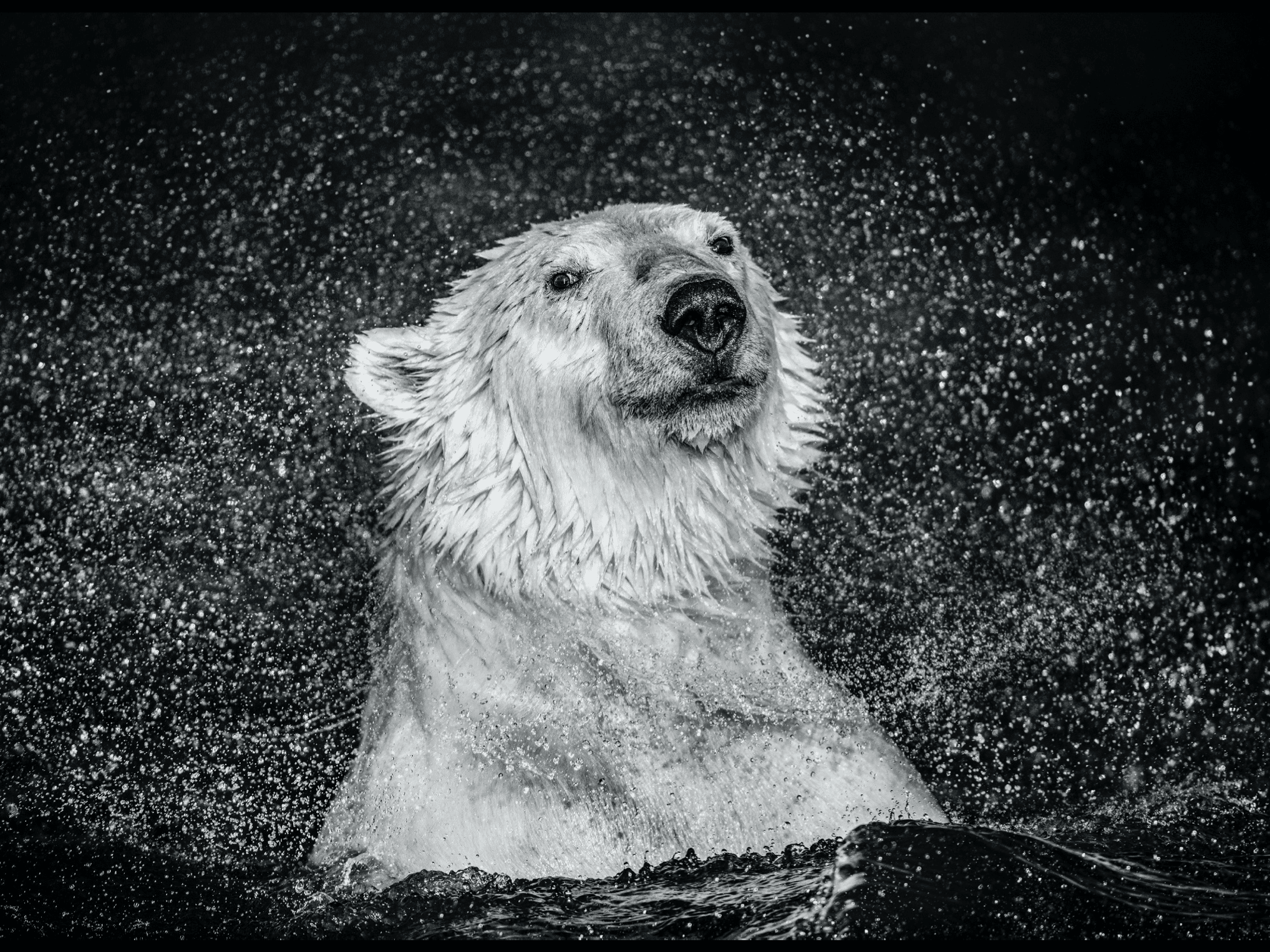 David_Yarrow_Open_Water_Hilton_Asmus_Contemporary
