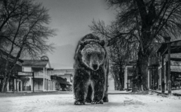 David_Yarrow_Out_of_Towner_Hilton_Asmus_Contemporary