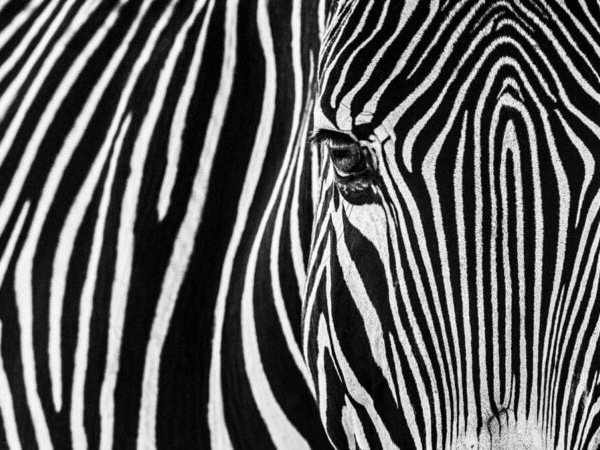 David_Yarrow_Parallel_Lines_Hilton_Asmus_Contemporary