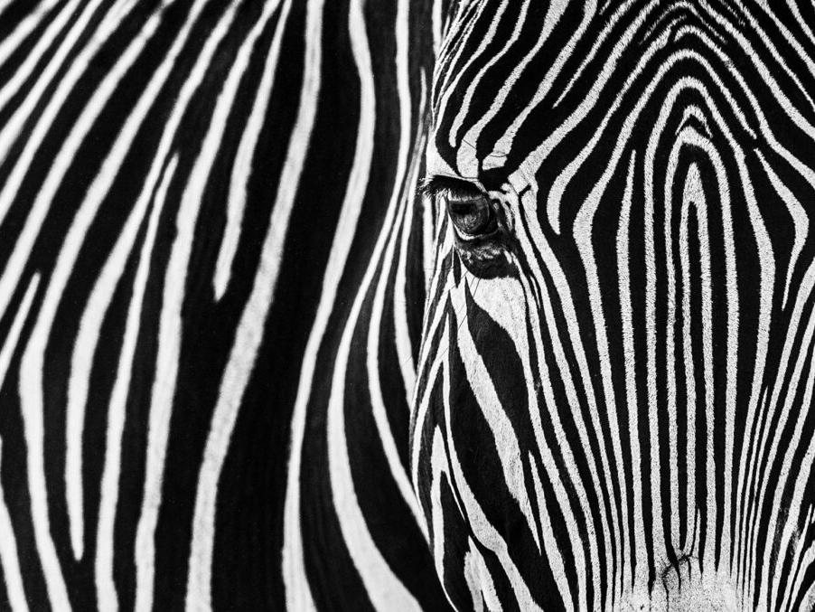 David_Yarrow_Parallel_Lines_Hilton_Asmus_Contemporary
