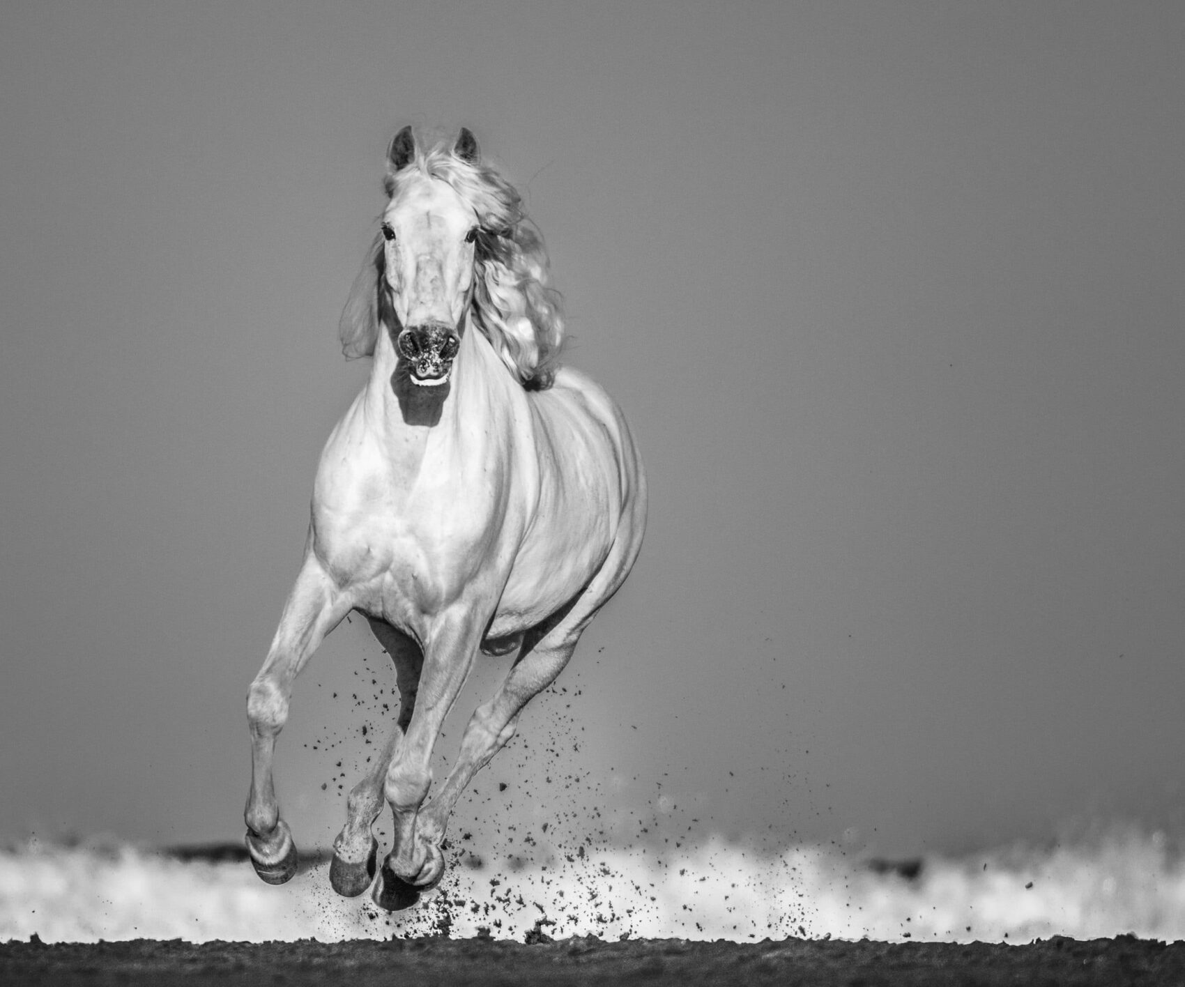 David_Yarrow_Pegasus_Hilton_Asmus_Contemporary
