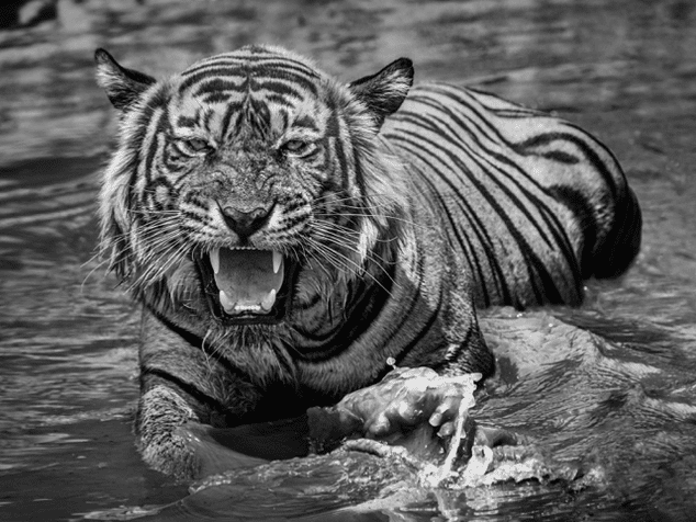David_Yarrow_Risky_Business_Hilton_Asmus_Contemporary