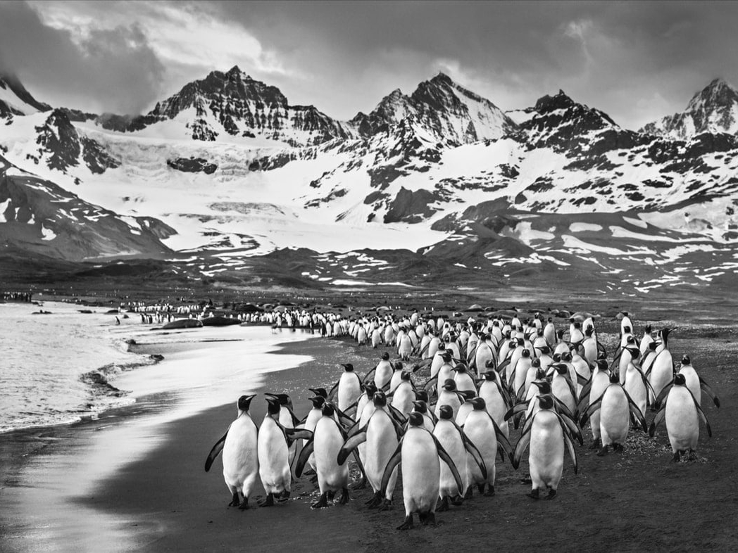 David_Yarrow_The_Breakfast_Club_Hilton_Asmus_Contemporary