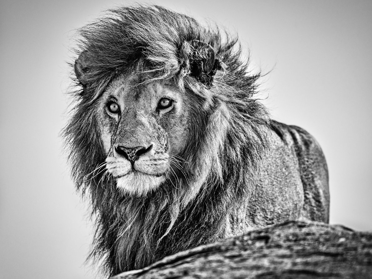 David_Yarrow_The_Cure_Hilton_Asmus_Contemporary