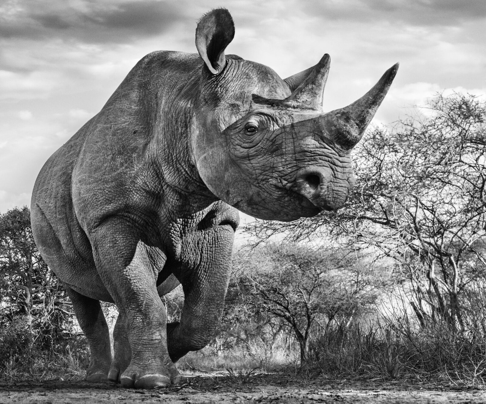 David_Yarrow_The_Departed_Hilton_Asmus_Contemporary