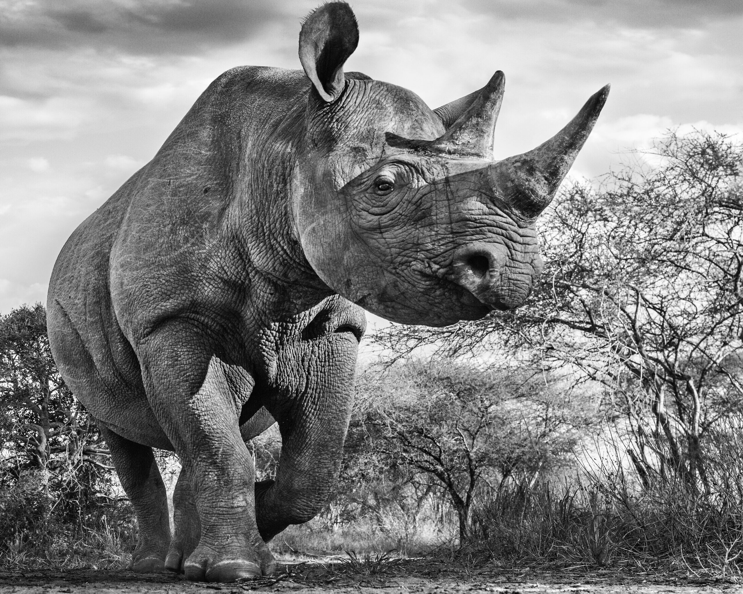 David_Yarrow_The_Departed_Hilton_Asmus_Contemporary