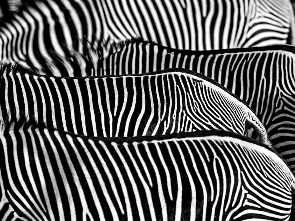 David_Yarrow_The_Factory_Hilton_Asmus_Contemporary